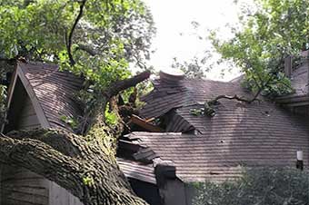 PLANET ROOF AREA Strom Damage