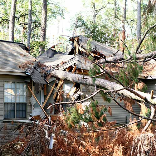 PLANET ROOF Roof Repair 5